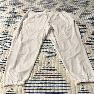 NWT Lululemon Adapted State Perforated HR Jogger